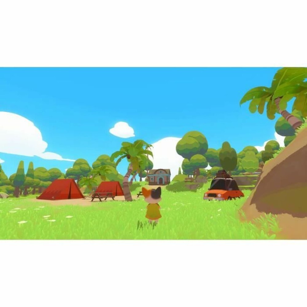 Video game for Switch Microids Petit Island