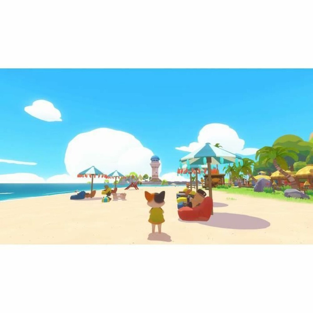 Video game for Switch Microids Petit Island