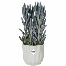 Plant pot Elho Ø 25 cm Circular White Plastic