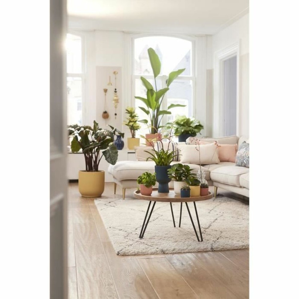 Plant pot Elho Ø 25 cm Circular White Plastic