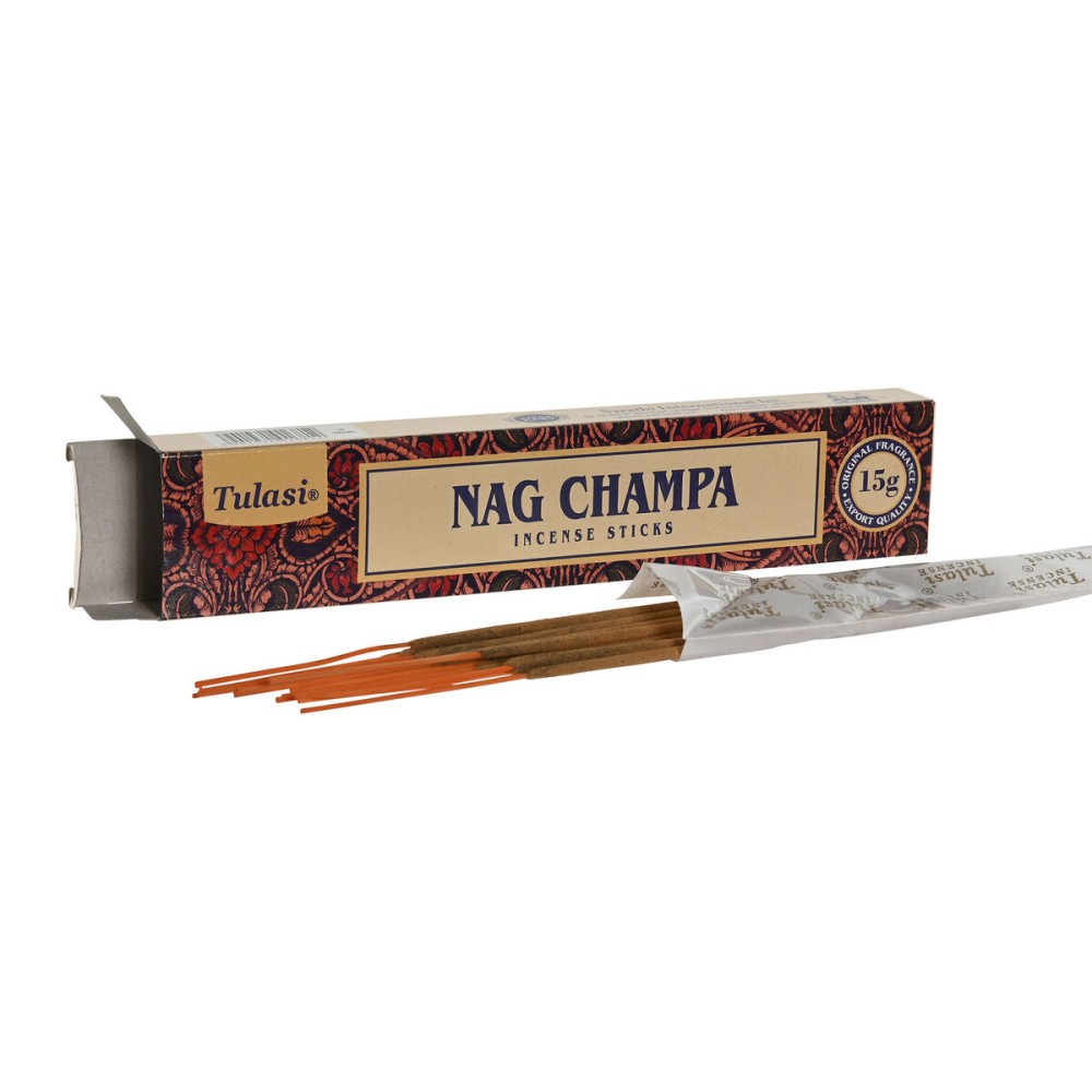Incense Home ESPRIT (72 Pieces)