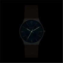 Men's Watch Skagen SKW6852