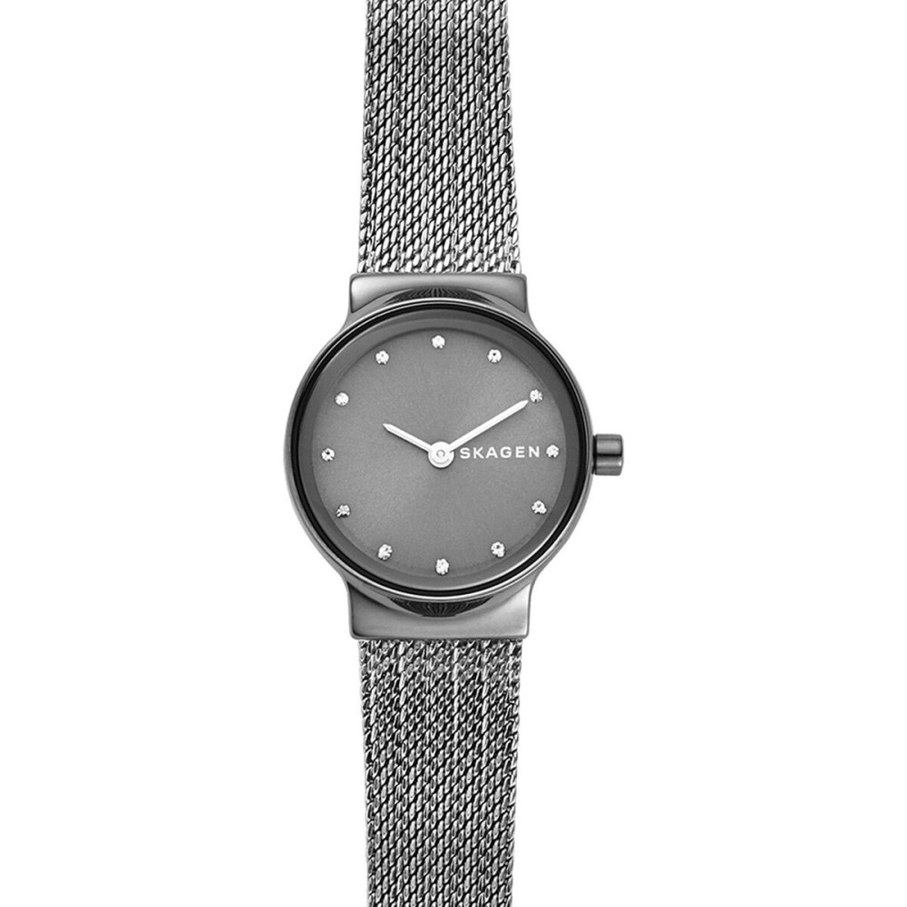 Montre Femme Skagen SKW2700