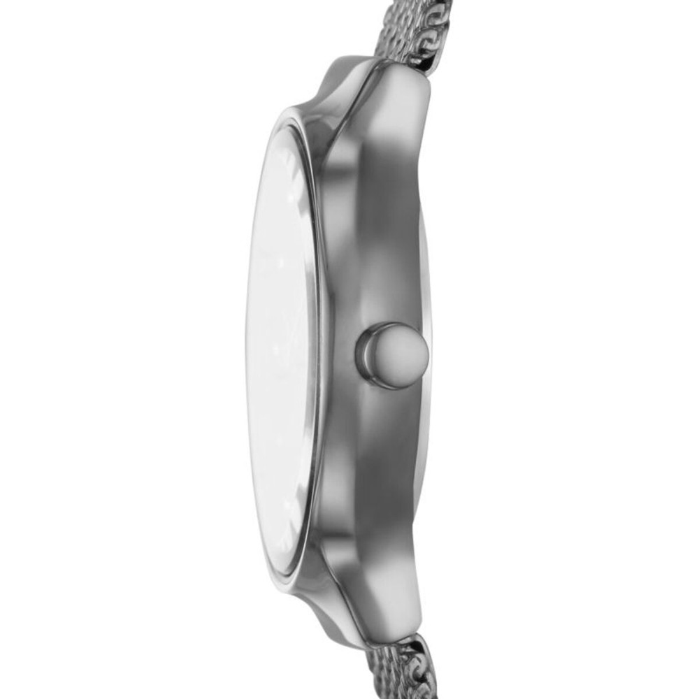 Montre Femme Skagen SKW2700