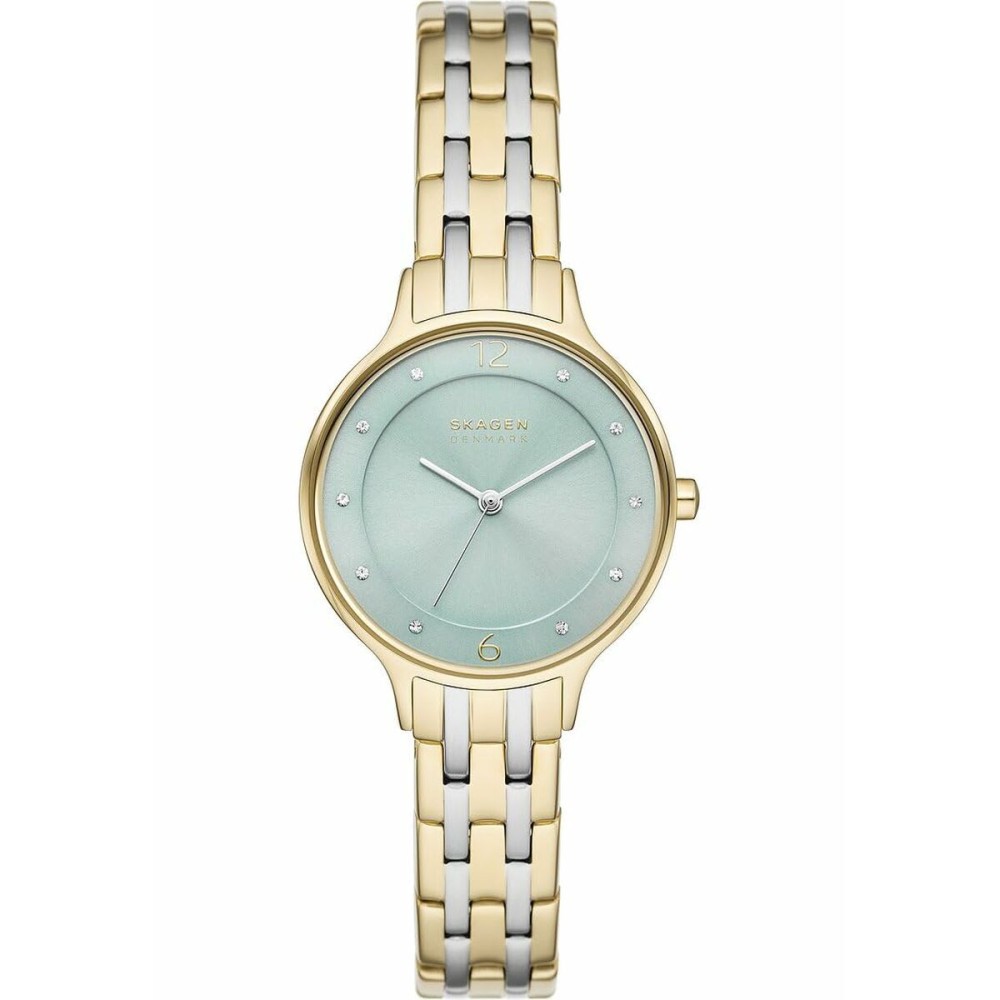 Montre Femme Skagen SKW3132