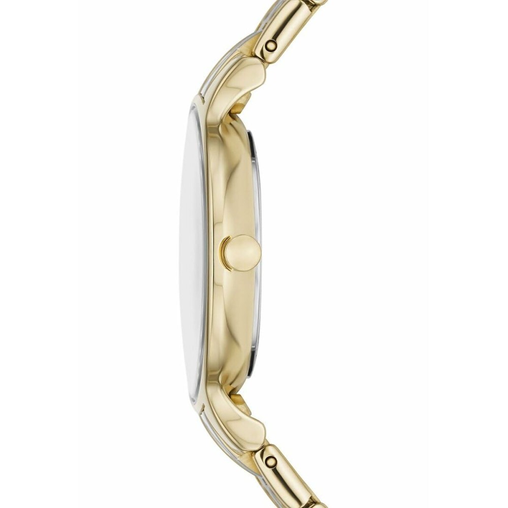 Montre Femme Skagen SKW3132