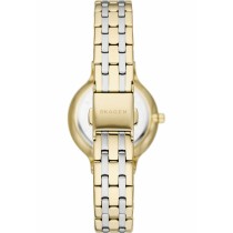 Montre Femme Skagen SKW3132