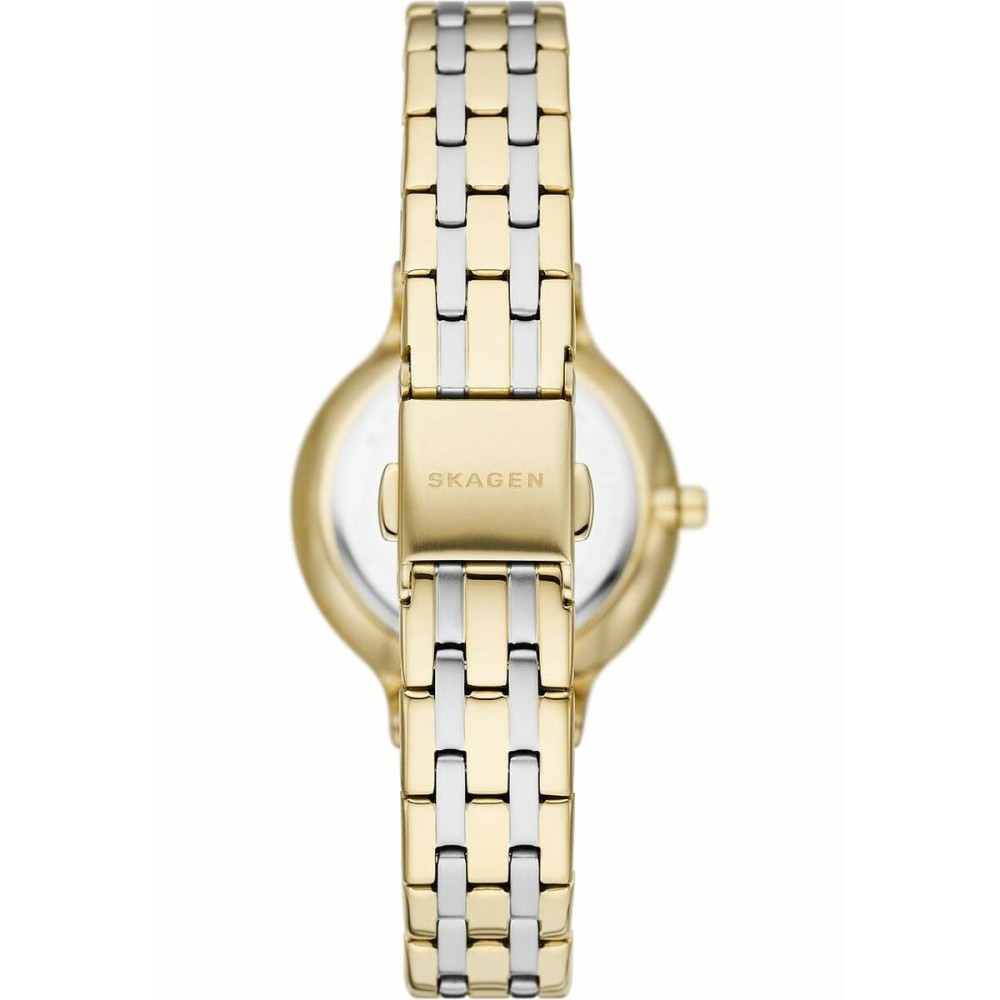 Montre Femme Skagen SKW3132