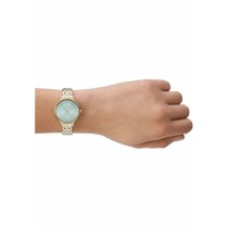 Montre Femme Skagen SKW3132