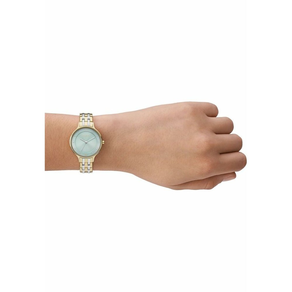 Montre Femme Skagen SKW3132