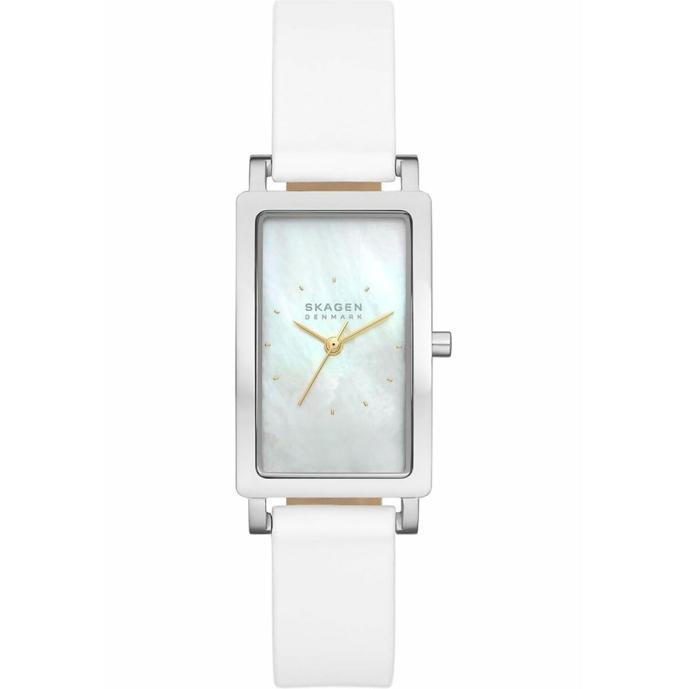 Montre Femme Skagen SKW3141
