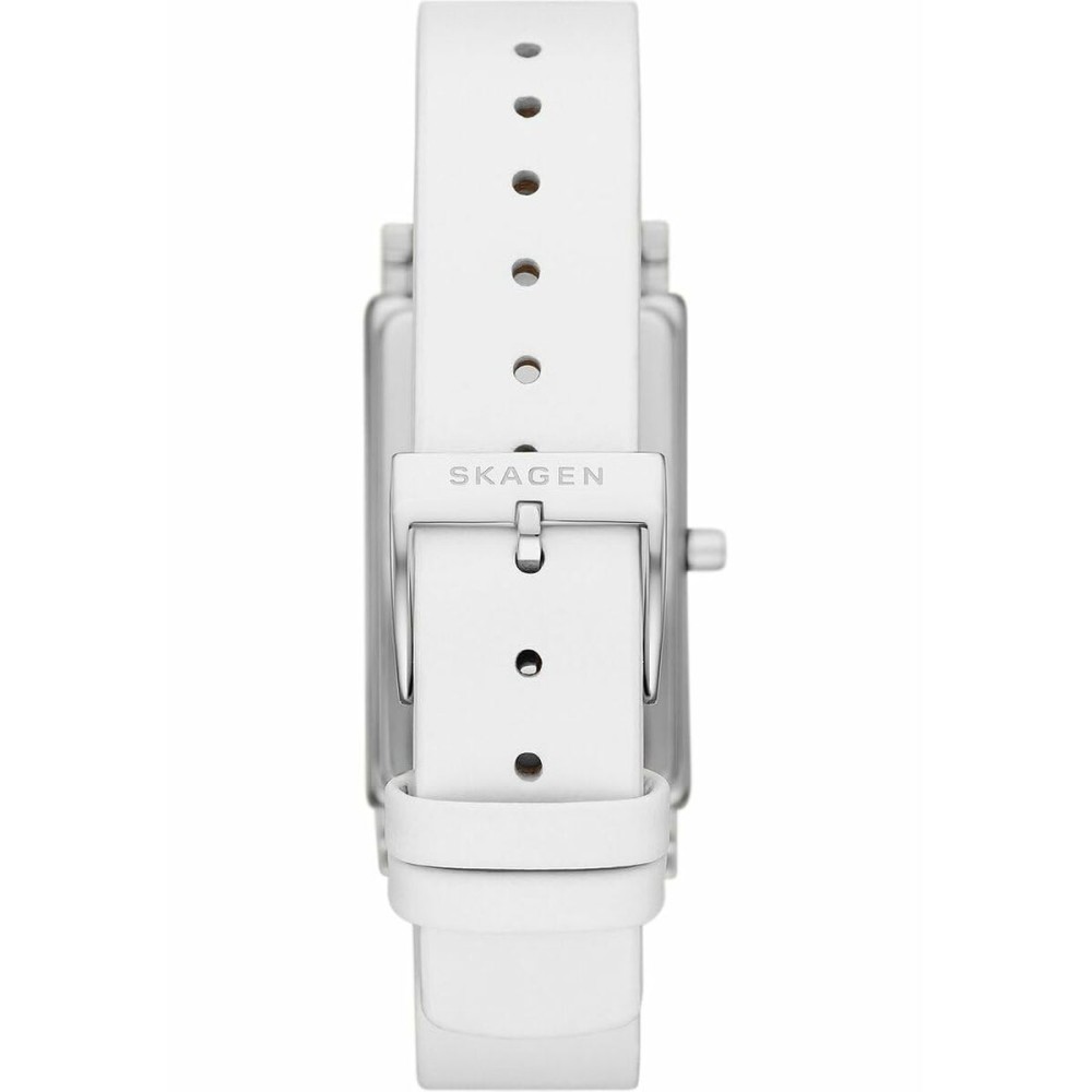 Montre Femme Skagen SKW3141