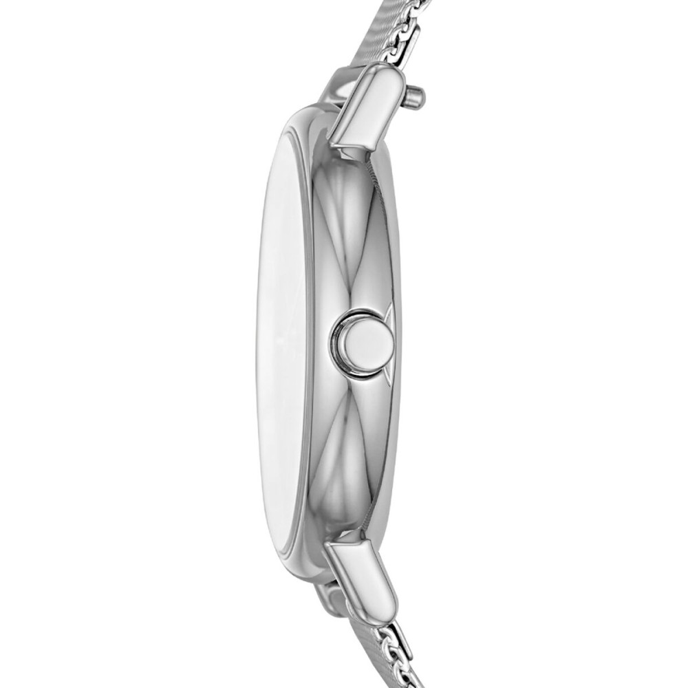 Montre Femme Skagen SKW2759