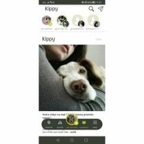 Localisateur Anti-perte KIPPY Jaune