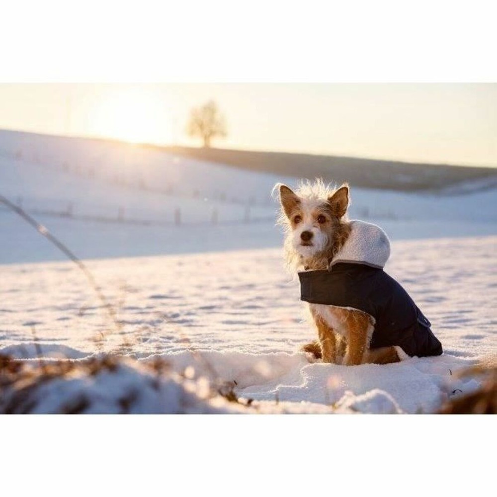 Dog Coat Kerbl Black