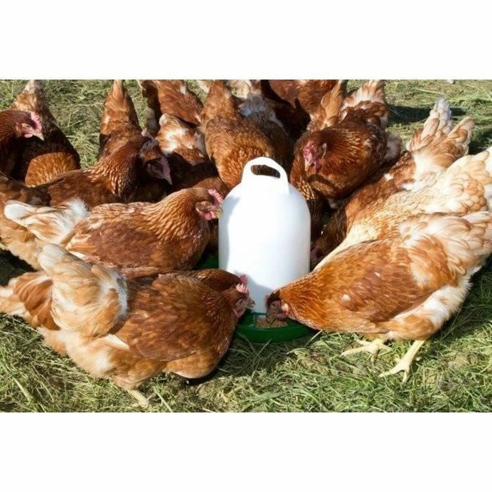 Automatic feeder Kerbl White Plastic