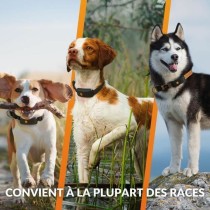 Localisateur Anti-perte Weenect Orange