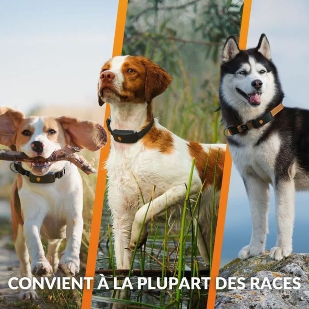 Localisateur Anti-perte Weenect Orange