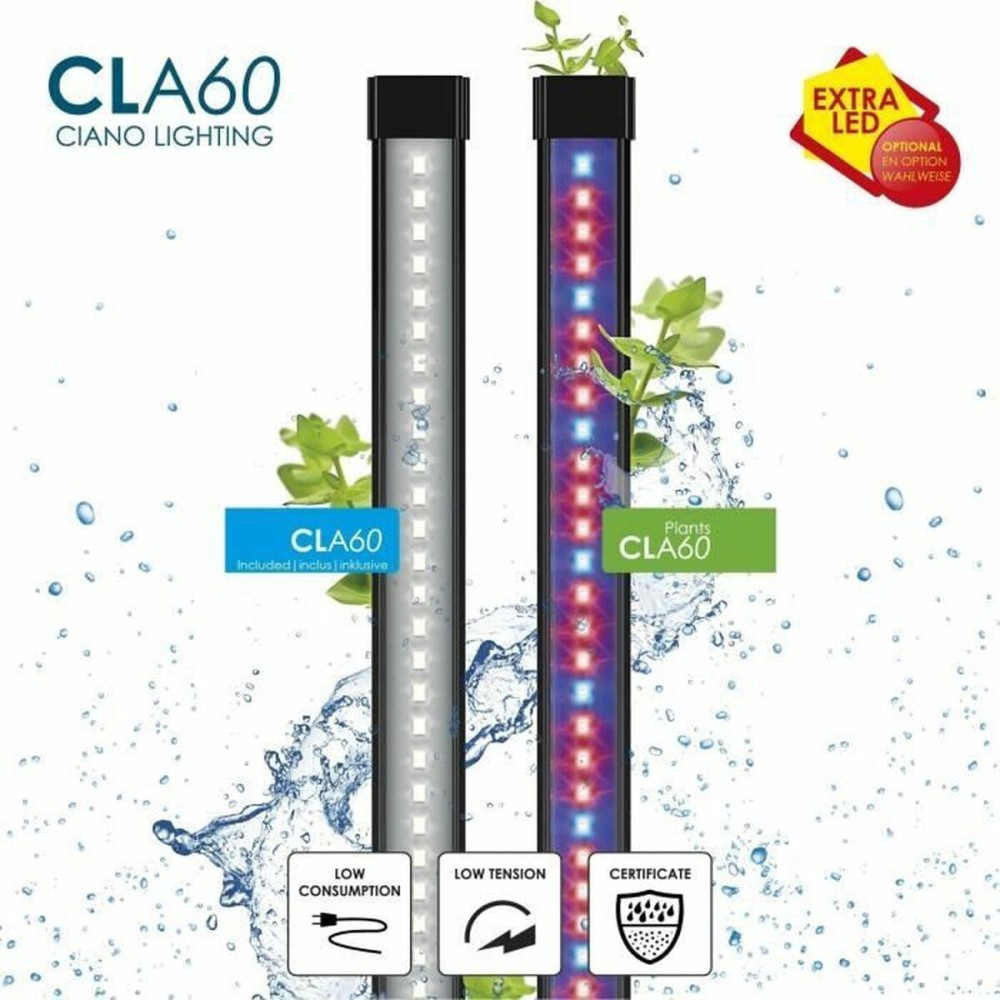 Verseau Ciano