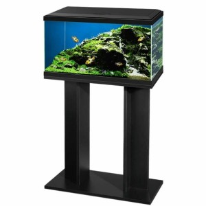 Cupboard Ciano Black