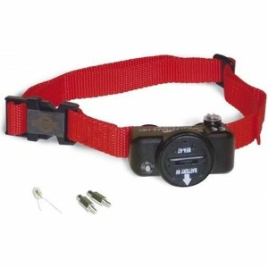 Hundehalsband PetSafe rouge