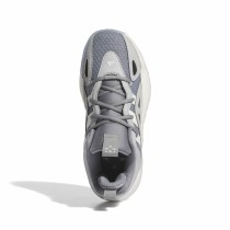 Basketballschuhe für Kinder Adidas Trae Unlimited Weiß Grau
