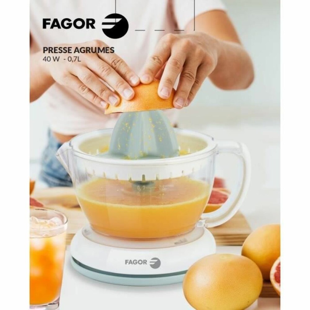 Electric Juicer Fagor 40 W 700 ml