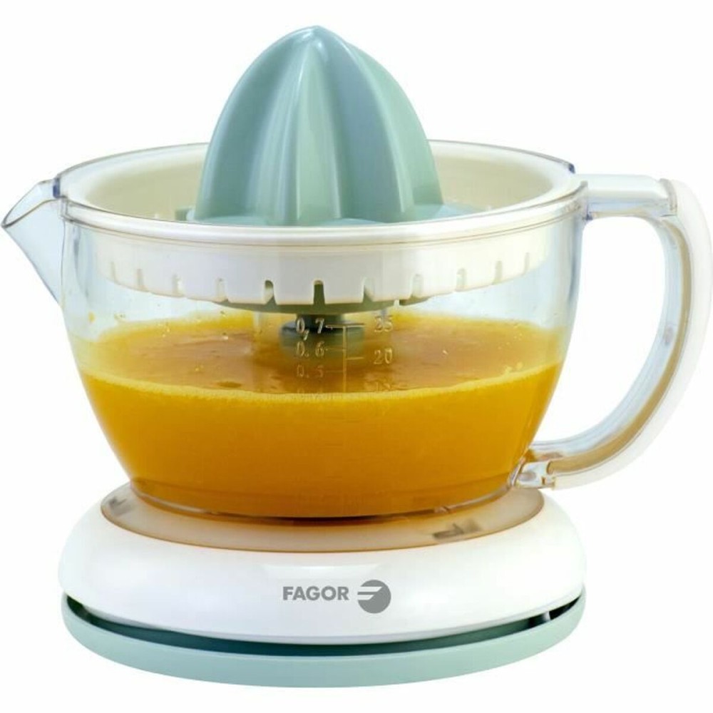Electric Juicer Fagor 40 W 700 ml