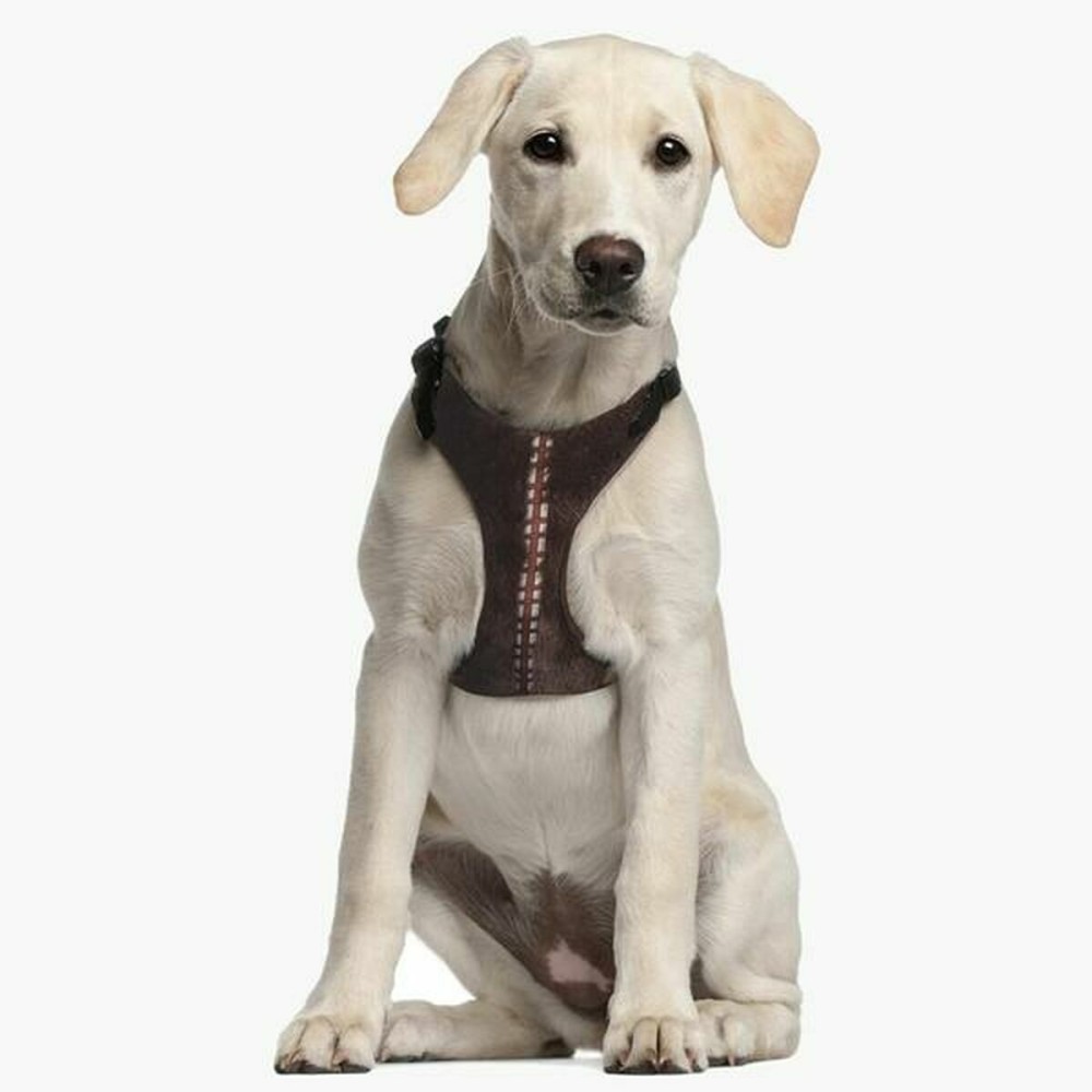 Harnais pour Chien Star Wars Chewbacca Marron M/L