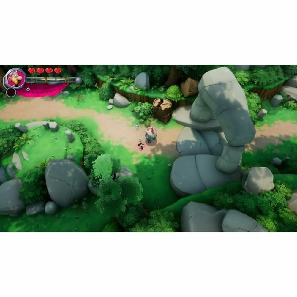 Videospiel für Switch Microids