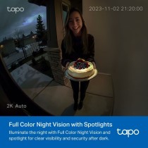 Surveillance Camcorder TP-Link TAPO D210