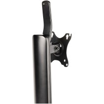 Support de table d'écran Startech FPPNEUSTND Noir 34" 32"
