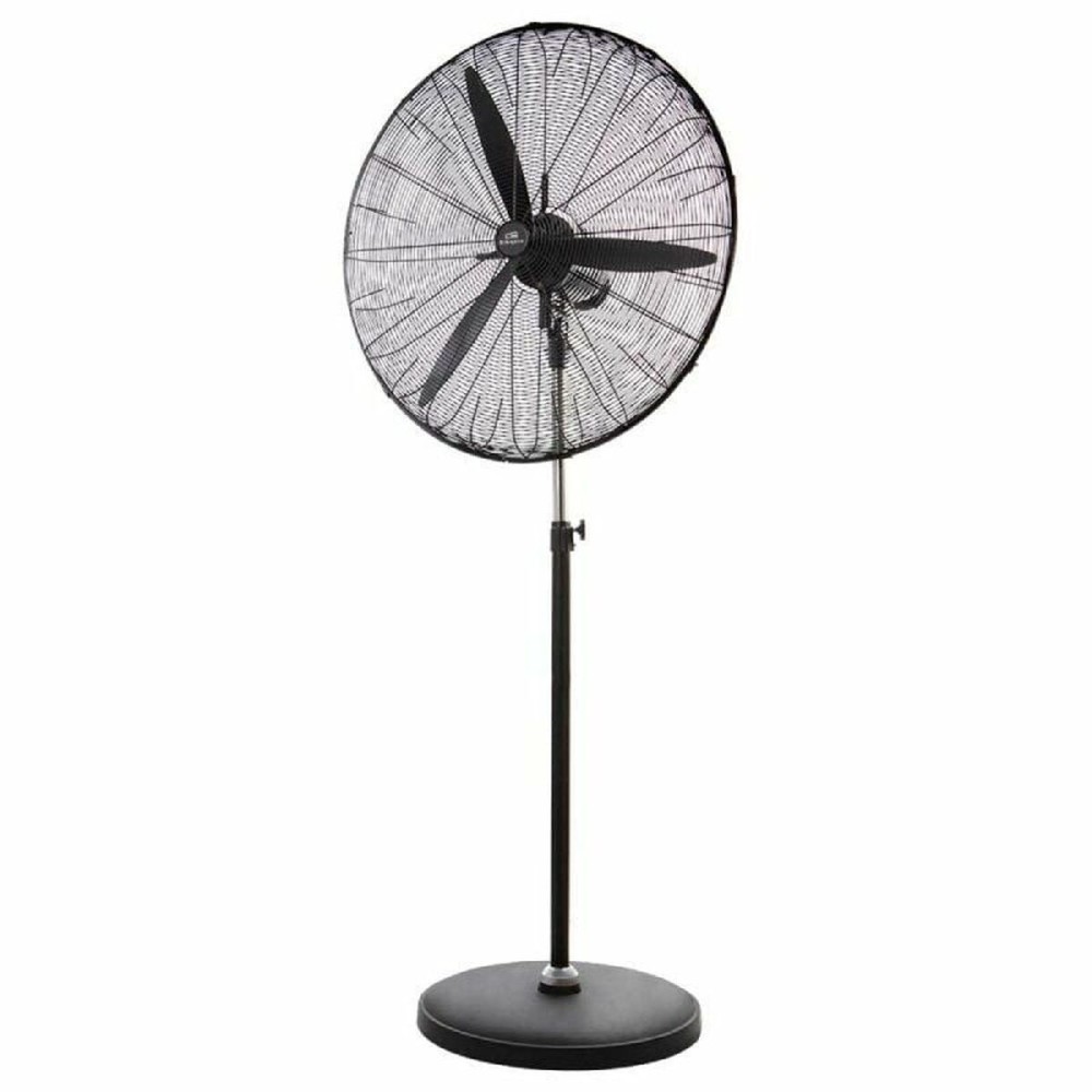 Ventilateur sur Pied Orbegozo PWS 0168 150 W