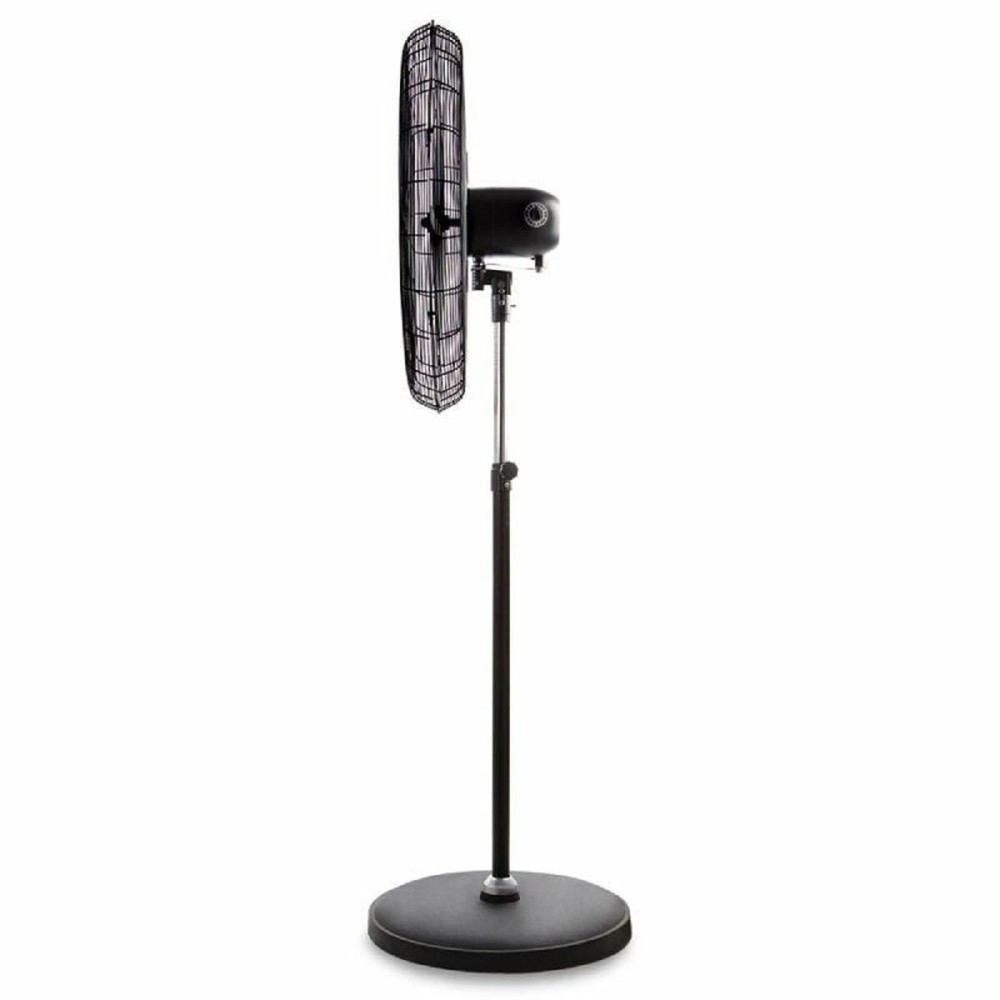 Ventilateur sur Pied Orbegozo PWS 0168 150 W