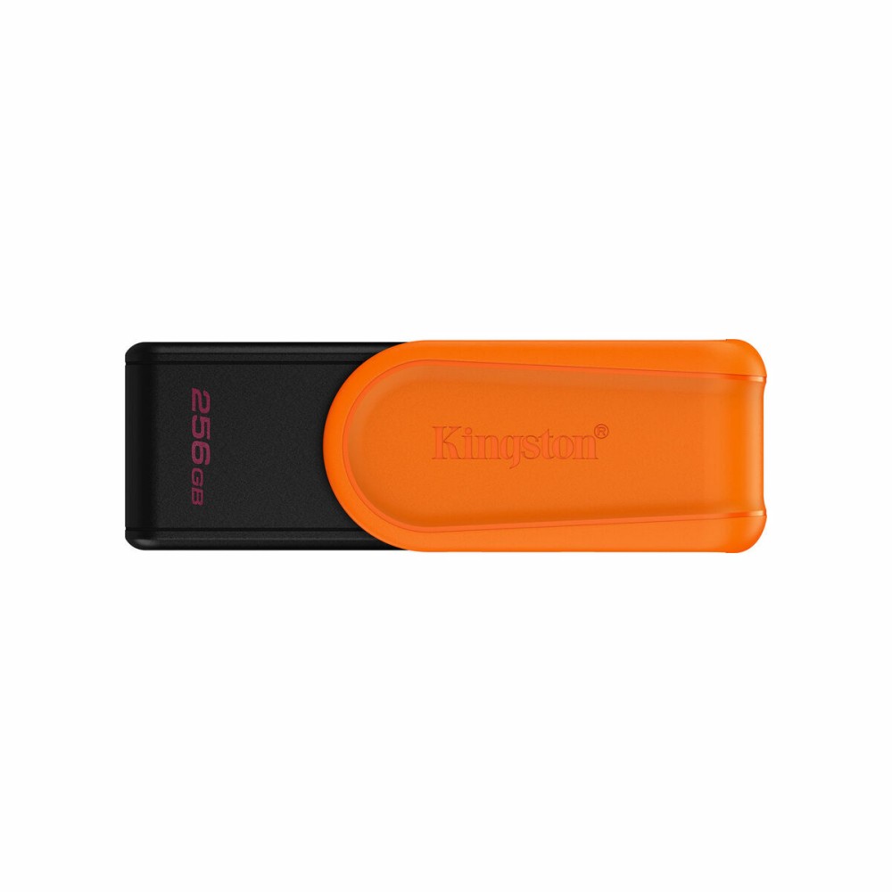 Carte Mémoire Micro SD avec Adaptateur Kingston DTXS/256GB 256 GB
