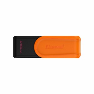 Carte Mémoire Micro SD avec Adaptateur Kingston DTXS/256GB 256 GB