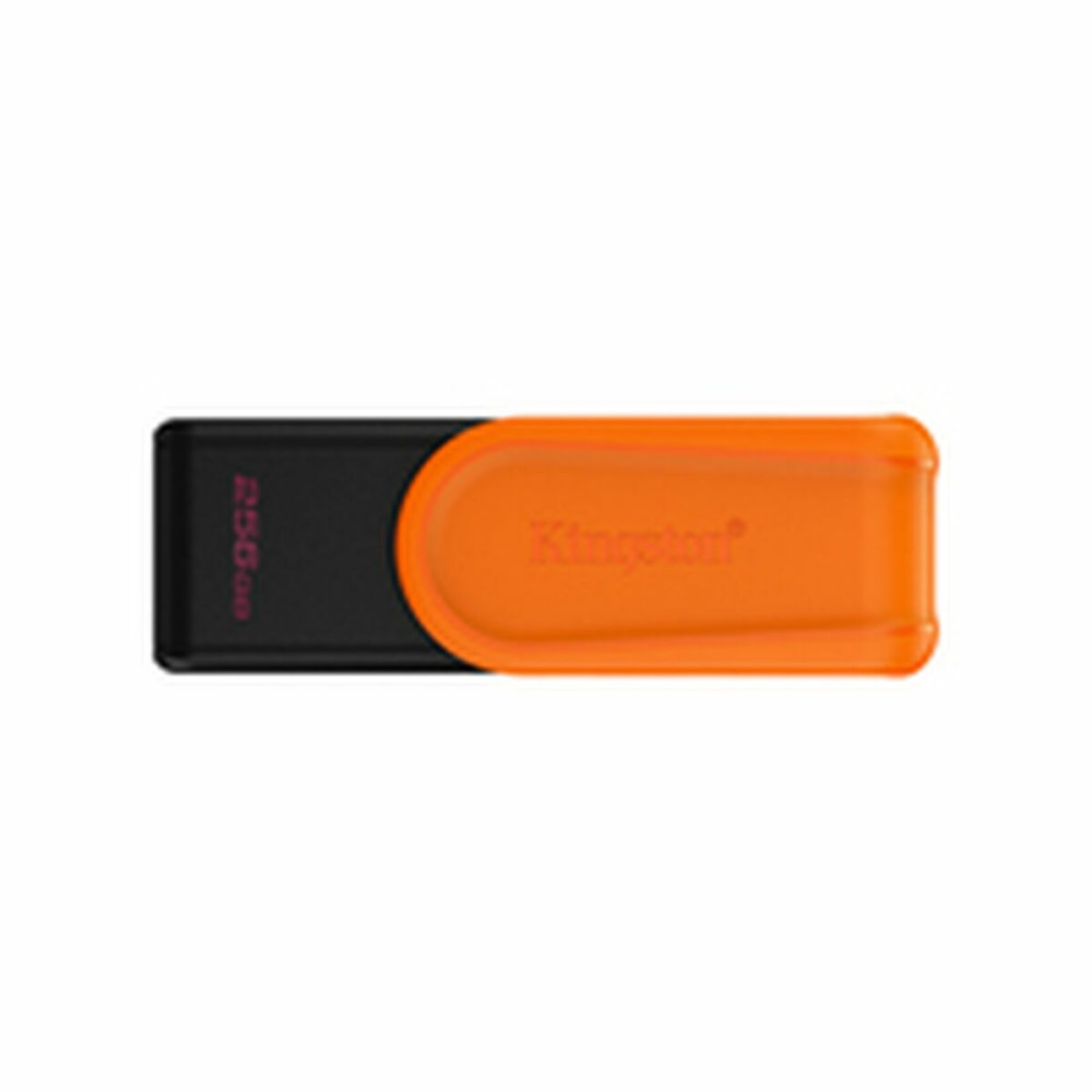 Carte Mémoire Micro SD avec Adaptateur Kingston DTXS/256GB 256 GB