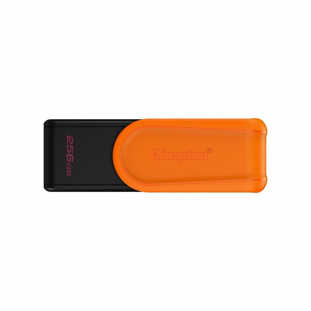 Carte Mémoire Micro SD avec Adaptateur Kingston DTXS/256GB 256 GB