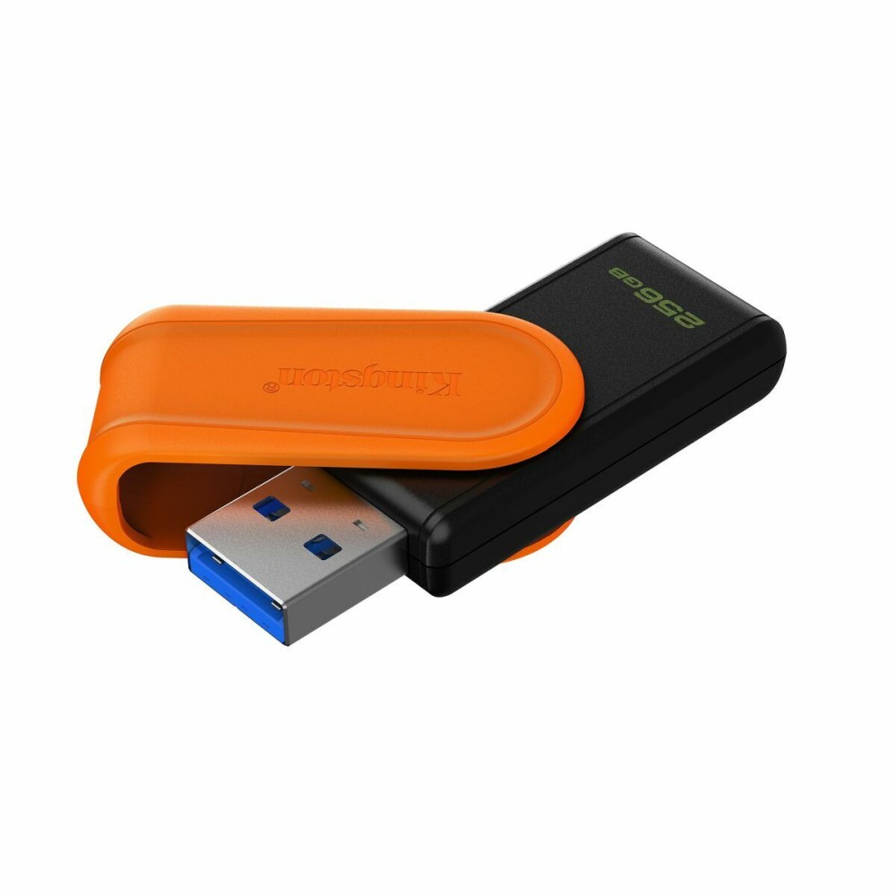 Carte Mémoire Micro SD avec Adaptateur Kingston DTXS/256GB 256 GB