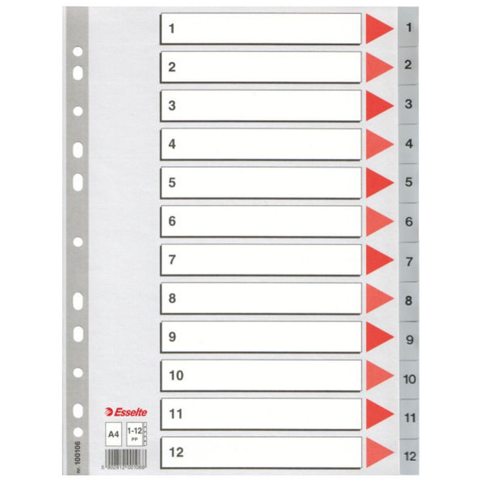 Seperators Esselte Numbered Grey A4 12 Sheets (10 Units)