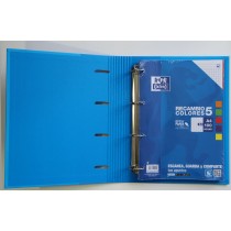 Ringbuch Oxford EUROPEANBINDER Bunt A4+ (10 Stück)