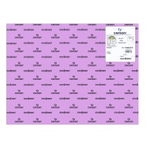 Pappe Iris Lila 50 x 65 cm