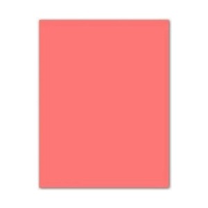 Pappe Iris Rosa Hellrosa 50 x 65 cm