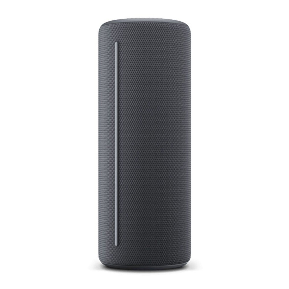 Bluetooth-Lautsprecher Loewe Grau