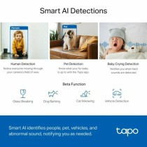 Camescope de surveillance TP-Link TC72