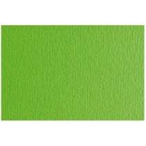 Papier carton Sadipal LR 200 Texturisée Vert clair 50 x 70 cm (20 Unités)