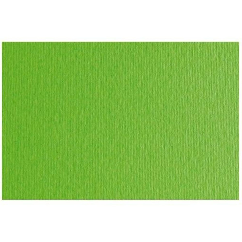 Papier carton Sadipal LR 200 Texturisée Vert clair 50 x 70 cm (20 Unités)