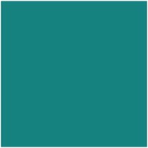 Card Iris Mint 50 x 65 cm