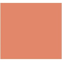 Card Iris Coral 50 x 65 cm