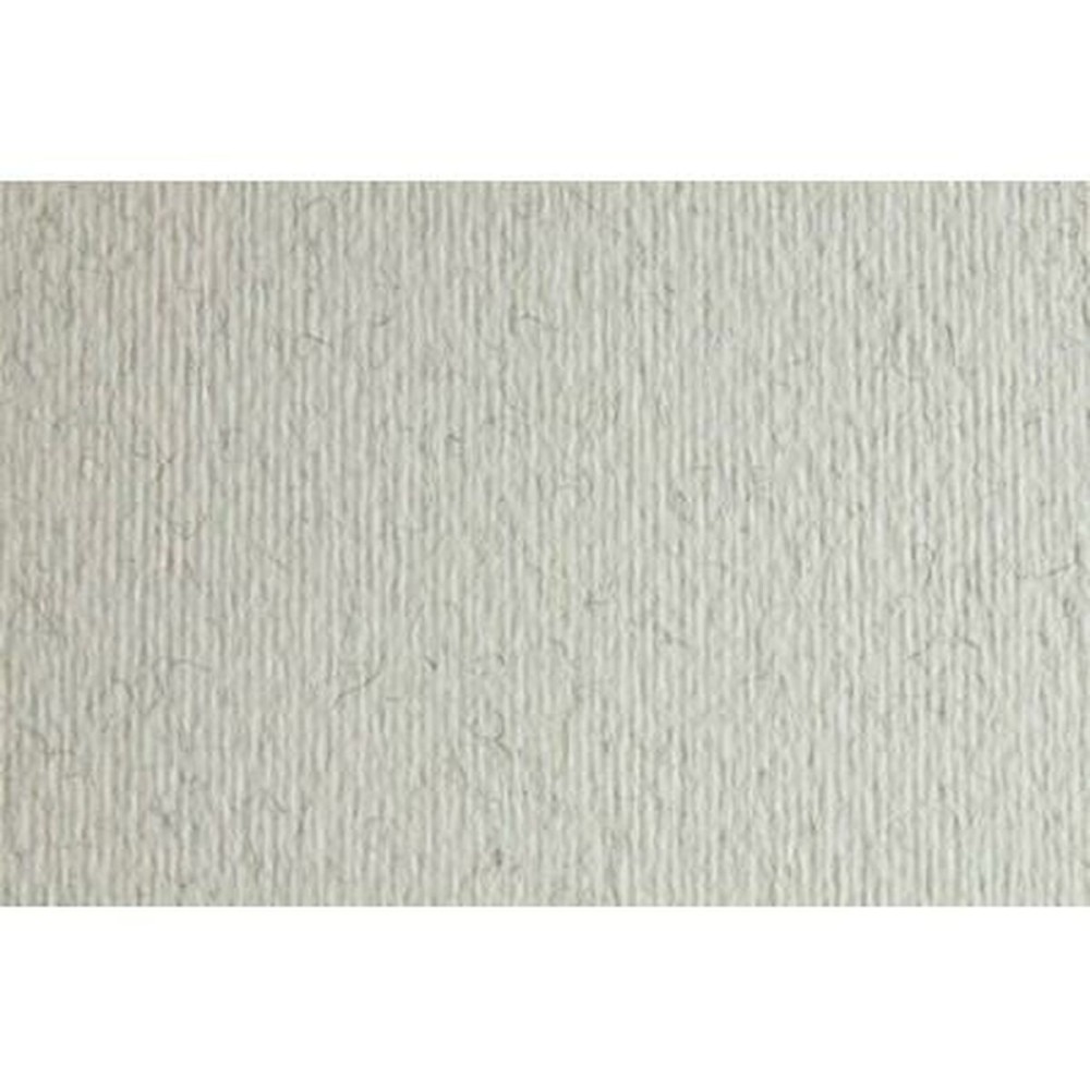 Card Sadipal LR 220 Light grey 50 x 70 cm Texturised (20 Units)